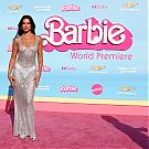 Filename=005.jpg
Filesize=973KiB
Dimensions=2048x1463
Date added=Jan 29, 2024 005.jpg