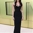 Filename=046.jpg
Filesize=1455KiB
Dimensions=2625x3500
Date added=Jan 31, 2024 046.jpg