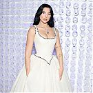 Filename=031.jpg
Filesize=1187KiB
Dimensions=2048x1365
Date added=Jan 31, 2024 031.jpg