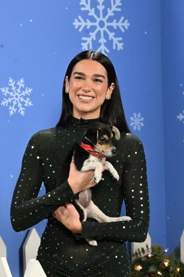 HQ
