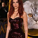 Filename=033.jpg
Filesize=1600KiB
Dimensions=2000x3000
Date added=Jan 27, 2024 033.jpg