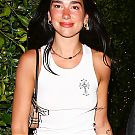 Filename=010.jpg
Filesize=1960KiB
Dimensions=1633x2450
Date added=Feb 25, 2024 010.jpg