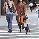 Filename=117.jpg
Filesize=5051KiB
Dimensions=2368x3500
Date added=Feb 12, 2024 117.jpg