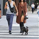 Filename=118.jpg
Filesize=4143KiB
Dimensions=2345x3500
Date added=Feb 12, 2024 118.jpg