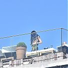 Filename=028.jpg
Filesize=376KiB
Dimensions=1922x2778
Date added=Nov 19, 2025 028.jpg