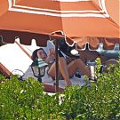 041.jpg