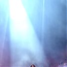 Filename=386.jpg
Filesize=1131KiB
Dimensions=2605x4500
Date added=Jun 29, 2024 386.jpg