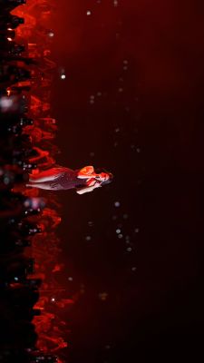 © instagram.com/denis.sllovinja
