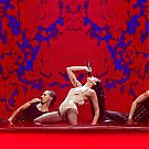 Filename=030.jpg
Filesize=1429KiB
Dimensions=2048x1367
Date added=Mar 23, 2025 030.jpg