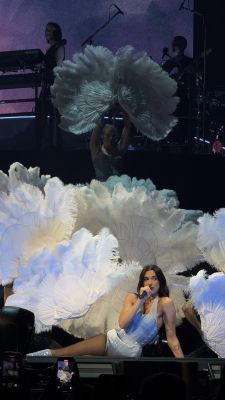 © x.com/midnightstpwk
