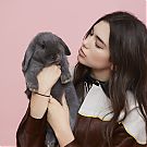 Filename=005.jpg
Filesize=1764KiB
Dimensions=5651x3768
Date added=Aug 23, 2025 005.jpg