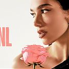 Filename=001.jpg
Filesize=420KiB
Dimensions=1920x1080
Date added=Mar 17, 2024 001.jpg