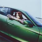 Filename=023.jpg
Filesize=113KiB
Dimensions=1440x1440
Date added=Jan 27, 2024 023.jpg