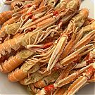 Filename=797.jpg
Filesize=200KiB
Dimensions=1080x1080
Date added=Apr 08, 2025 797.jpg