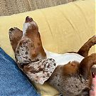 Filename=622.jpg
Filesize=234KiB
Dimensions=1080x1080
Date added=May 14, 2024 622.jpg