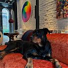 Filename=090.jpg
Filesize=204KiB
Dimensions=1080x1350
Date added=Feb 14, 2025 090.jpg