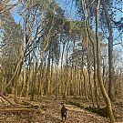 Filename=114.jpg
Filesize=393KiB
Dimensions=1080x1080
Date added=Mar 01, 2025 114.jpg