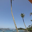 Filename=1756.jpg
Filesize=415KiB
Dimensions=1440x1440
Date added=Nov 23, 2025 1756.jpg