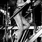 Filename=636.jpg
Filesize=583KiB
Dimensions=1440x1440
Date added=May 26, 2025 636.jpg