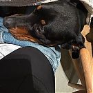 Filename=dualipa-20251227_190456-2220291945.jpg
Filesize=856KiB
Dimensions=1320x2346
Date added=Dec 28, 2025 dualipa-20251227_190456-2220291945.jpg